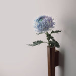 Flora Black Walnut Wall-mounted Flower Vase front view
